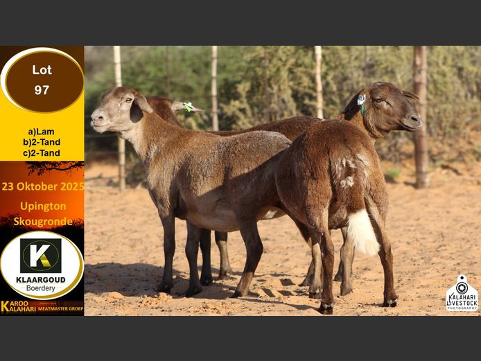 CP 97B | Chris Potgieter & Christia Scholtz - Klaargoud Boerdery