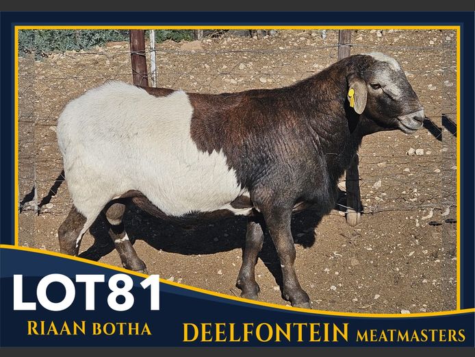 RBF 230004 | DEELFONTEIN MEATMASTERS