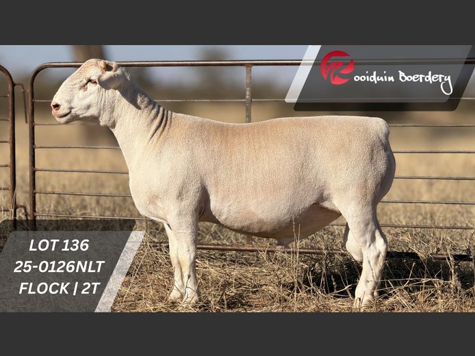 25-0126NLT | ROOIDUIN BOERDERY