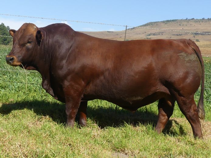 LAR 230208 | UP GEORGE FARMS CC