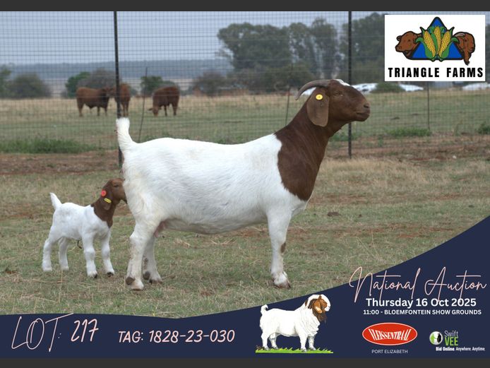 1828-23-030 | Jimmy Roberts (Triangle Farms)