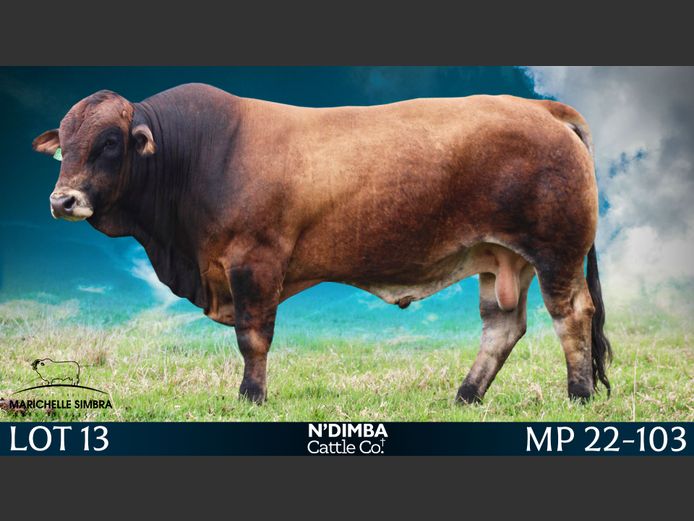 MP22103