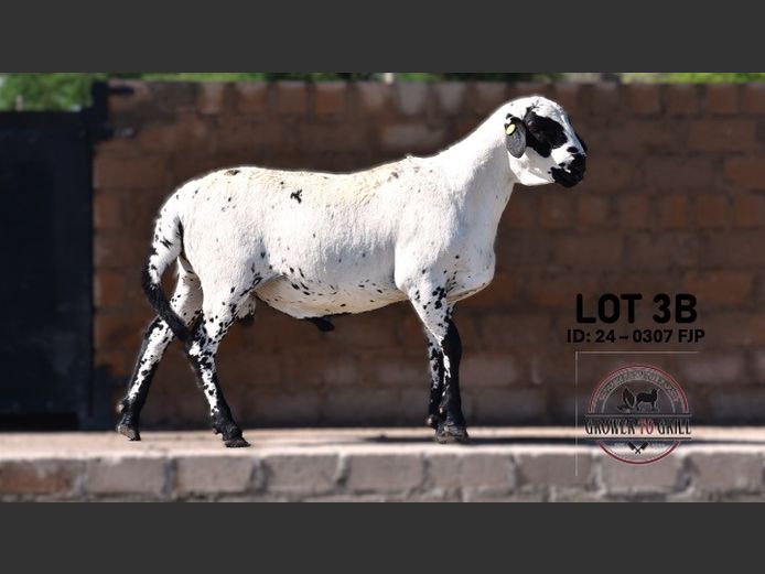 24-0307FJP | GROWER TO GRILL STUD