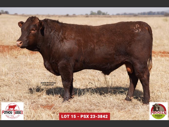 PSX 233842 | POTHOU BK