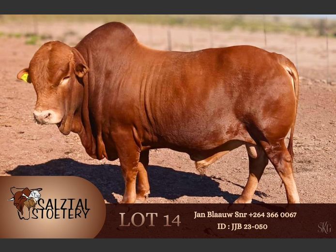 JJB 230050 | SALZTAL STOETERY
