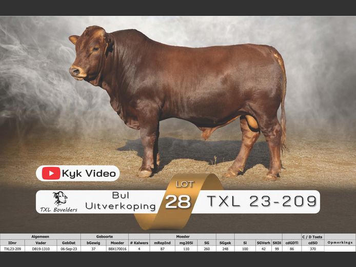 TXL23-209