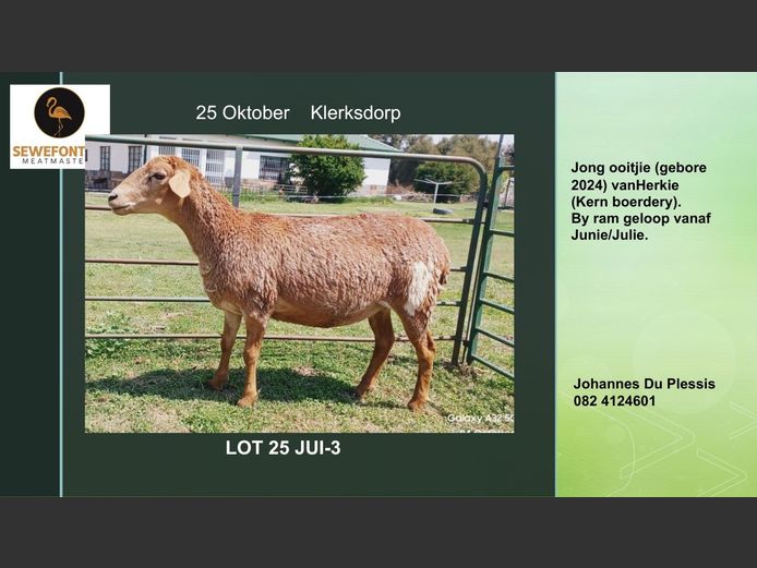 JUI-3 | Zevenfontein Meatmasters