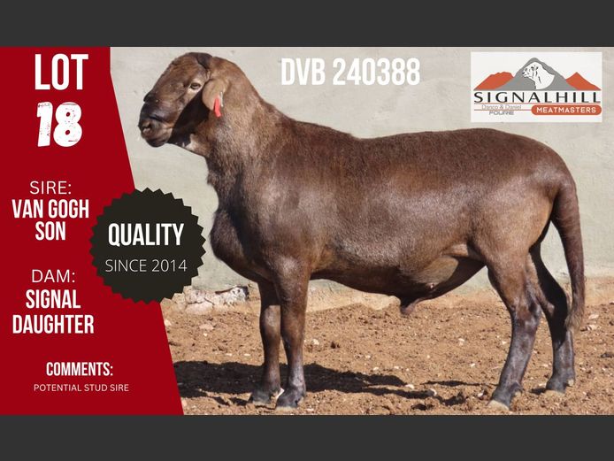 DVB 240388 | SIGNALBERG MEATMASTERS