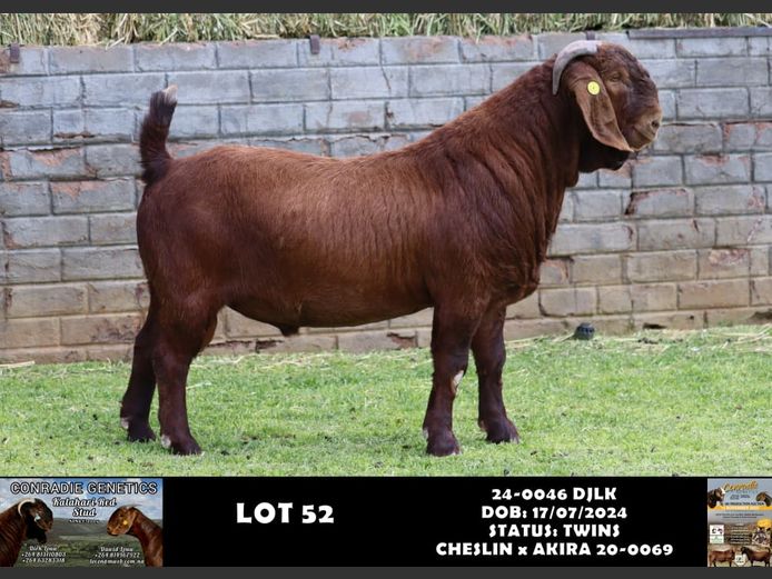 24-0046 DJLK | DIRK LOUW