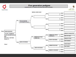 genetic_data