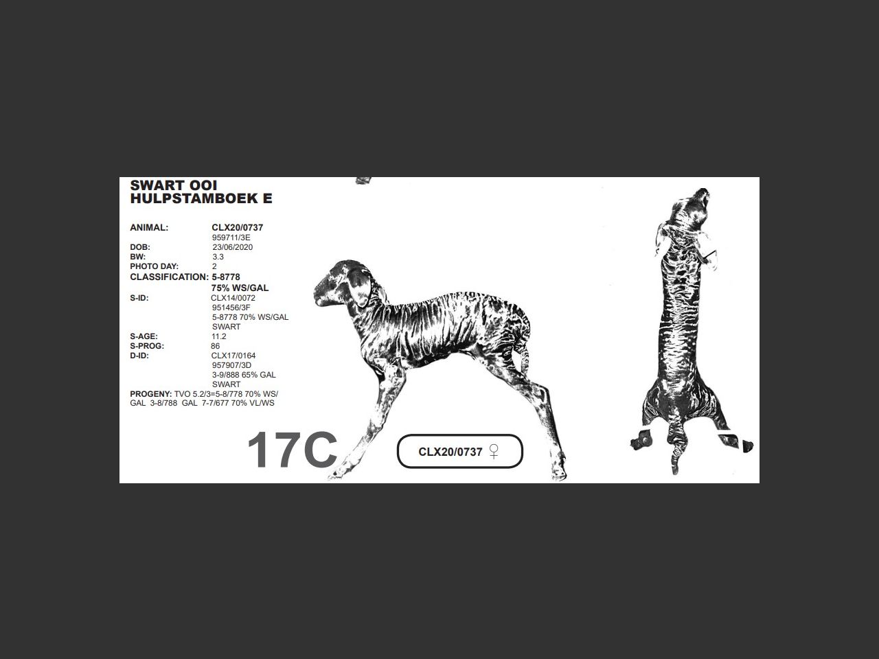 images