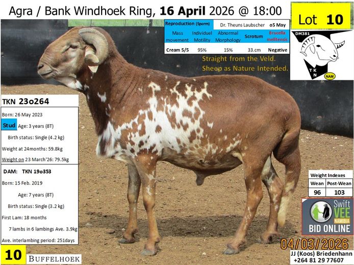 TKN 23o264 | KOOS BRIEDENHANN