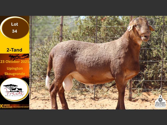 PS 34 | Peter & Christia Scholtz - Vrede Meatmasters