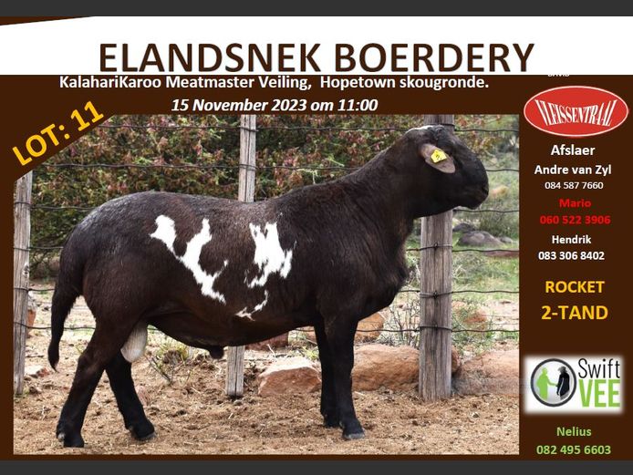 RSL B233 | ELANDSNEK BOERDERY