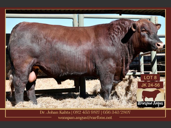 JK240056 | J. KAHTS