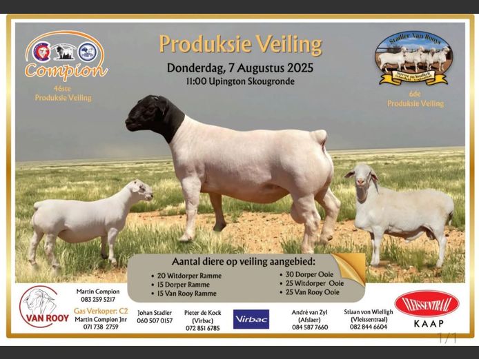COMPION 46STE PRODUKSIEVEILIG