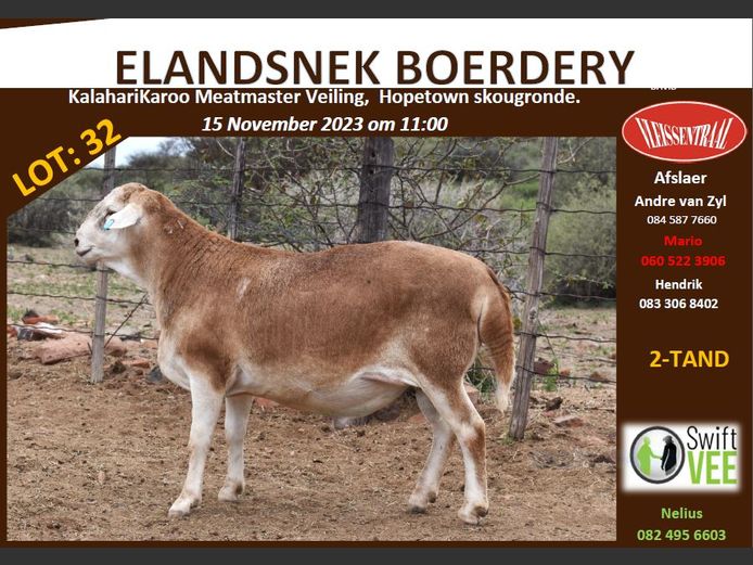 RSL B216 | ELANDSNEK BOERDERY