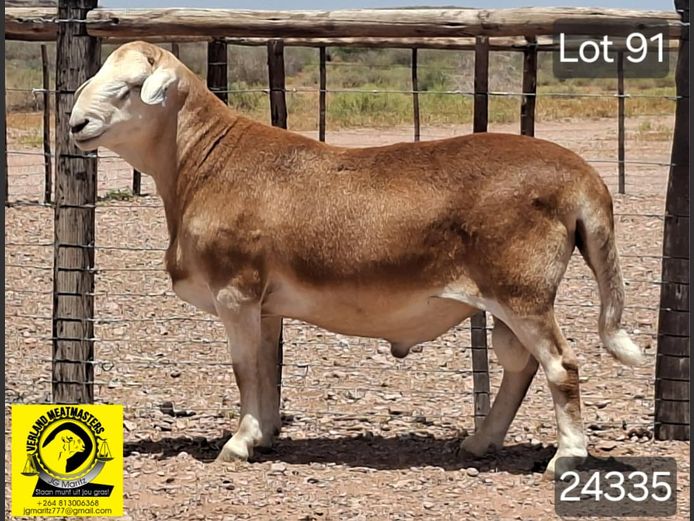 24335 | VERLAND MEATMASTERS