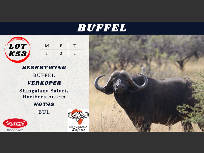 BUFFEL