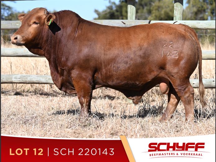 SCH 220143