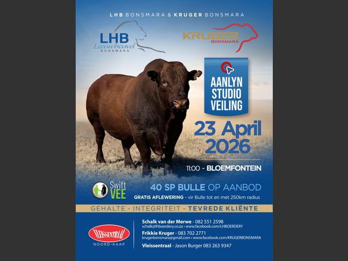 LHB & KRUGER BONSMARAS AANLYN STUDIO VEILING