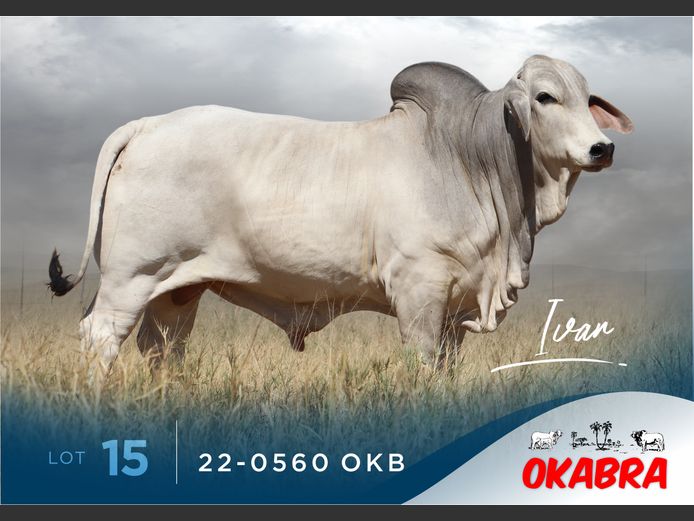 22-0560 OKB