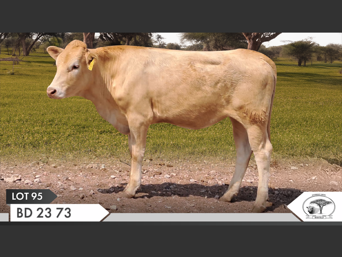 BD 230073 | VAN EYK FAMILIE TRUST
