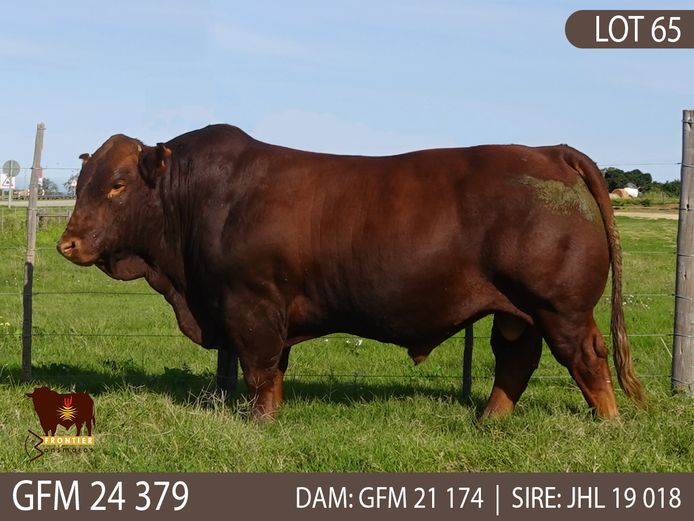 GFM 240379 | MEYER BONSMARAS