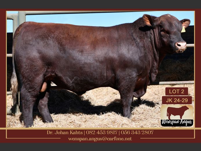 JK240029 | J. KAHTS