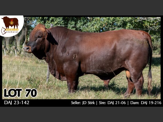 DAJ 230142 | J.D. STIRK