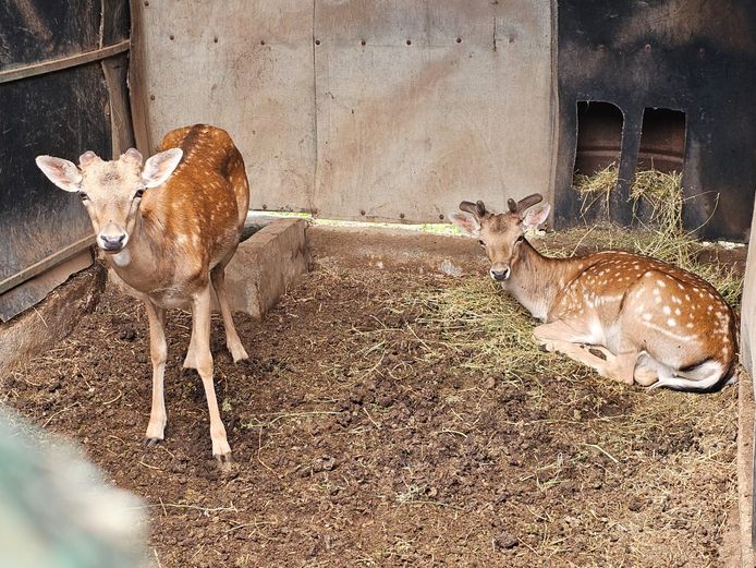 TAKBOK | MAS TRADING