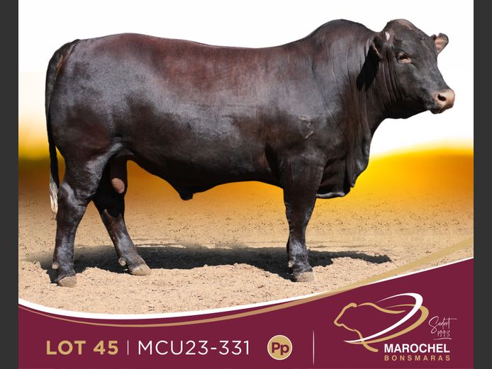 MCU 230331
