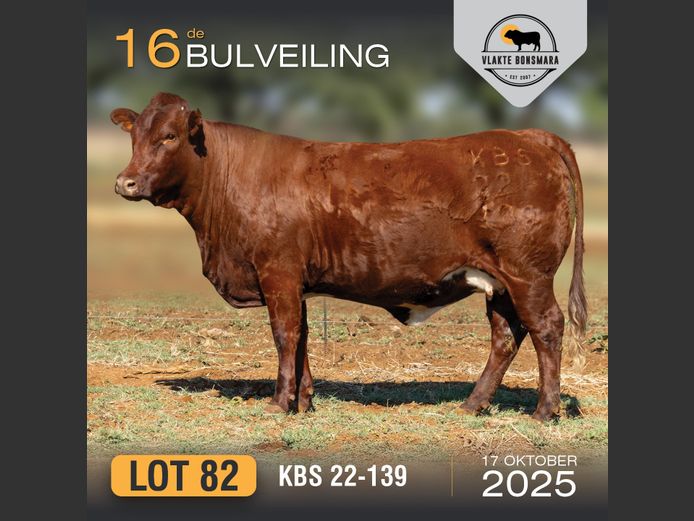 KBS 220139 | KAMEELDORING BONSMARA