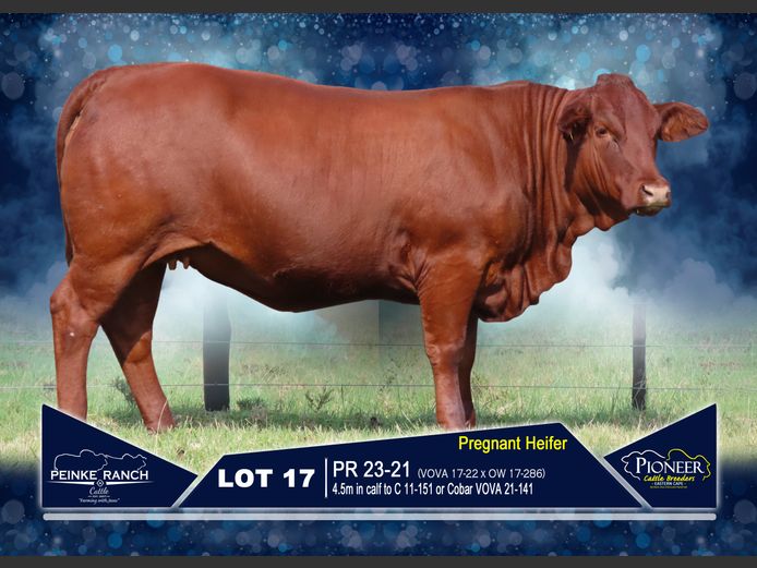 PR 230021 | PEINKE RANCH