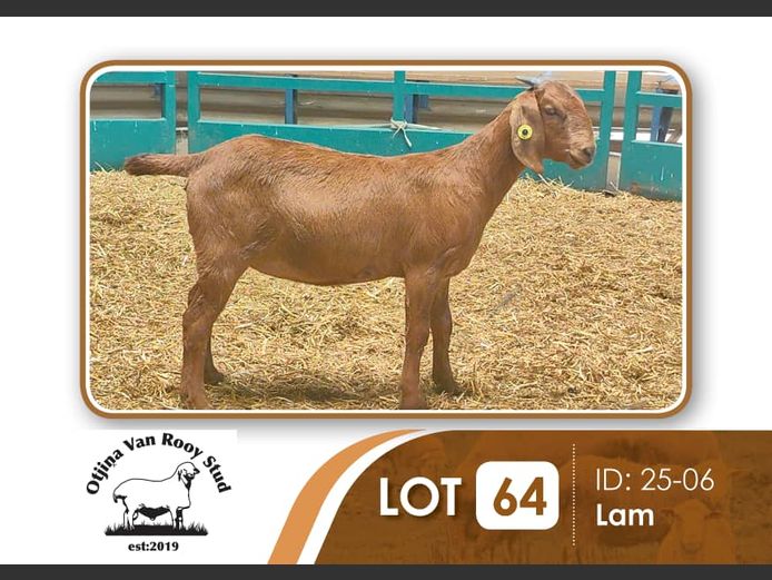 25-006 | BILLY KAZONGANGA