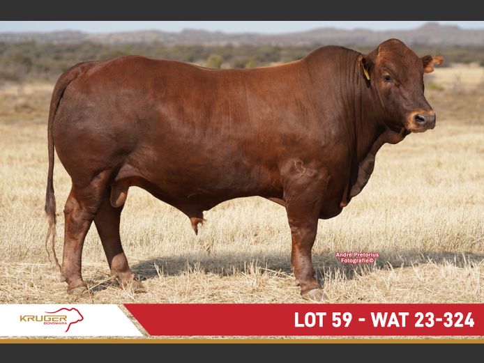 WAT230324 | KRUGER BOERDERY