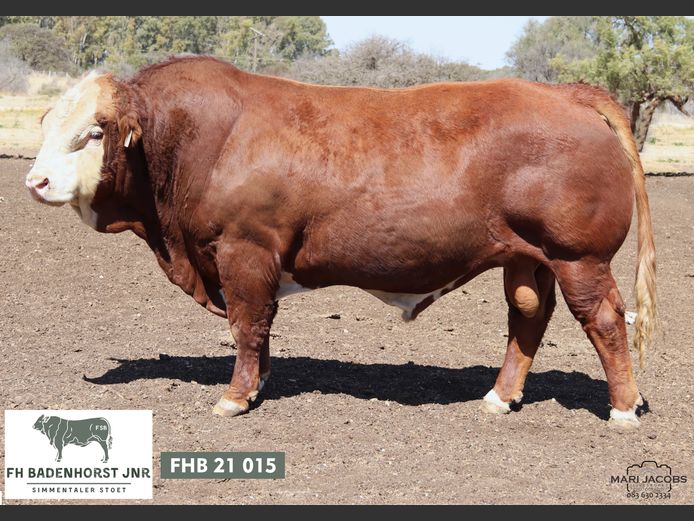 FHB2115 | FH BADENHORST