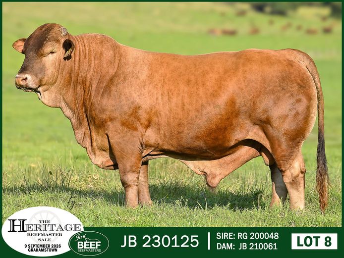 JB 230125 HH | SUPER PRO DAIRY