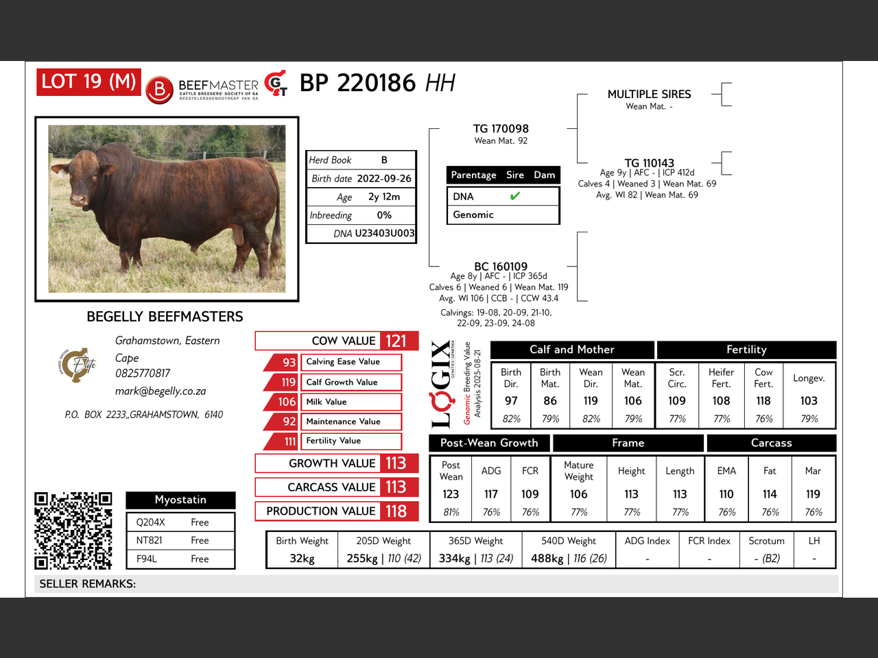 Lot BM19 | THE HERITAGE BEEFMASTER SALE | SwiftVEE | South Africa’s ...