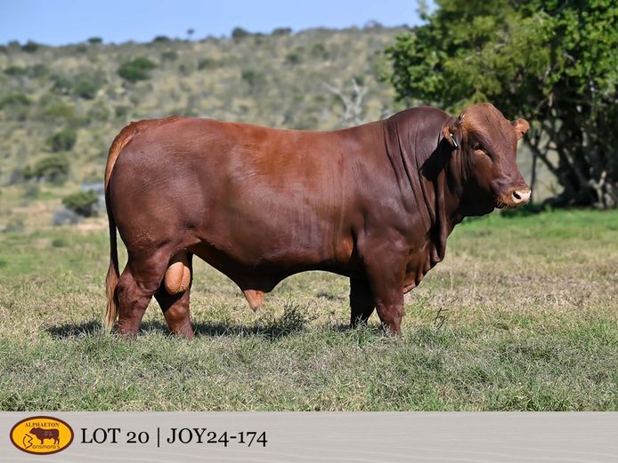 JOY240174 | FETTING LIVESTOCK TRUST