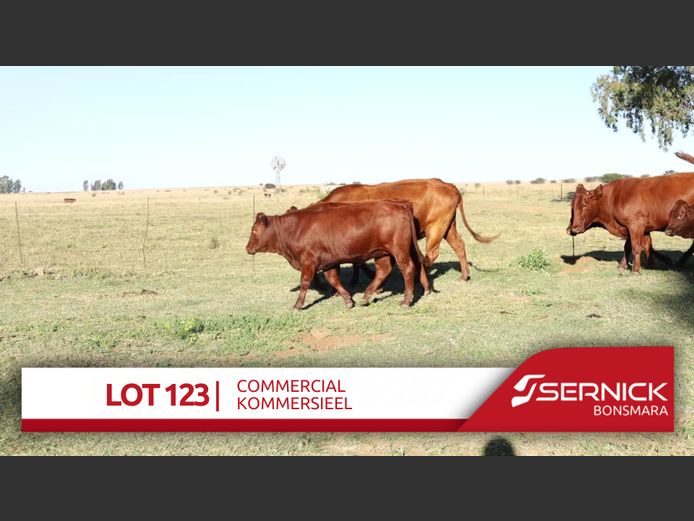Commercial Animals