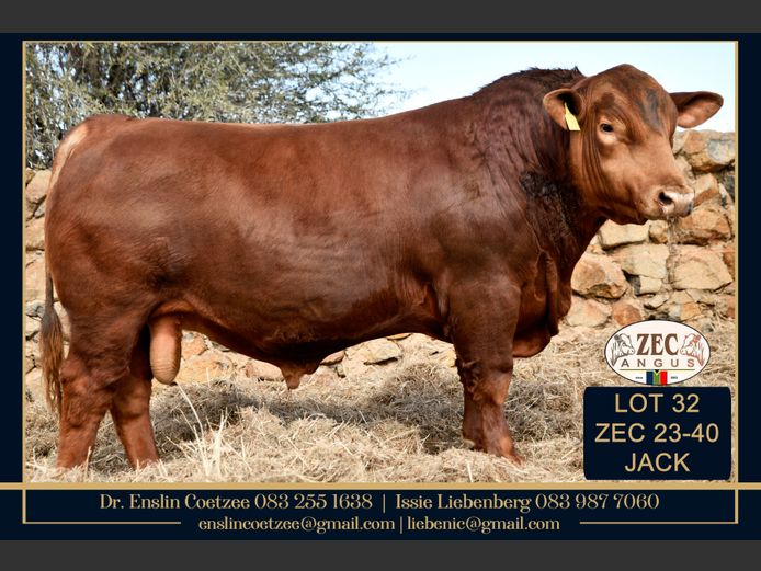 ZEC 230040 | Z.E. COETZEE