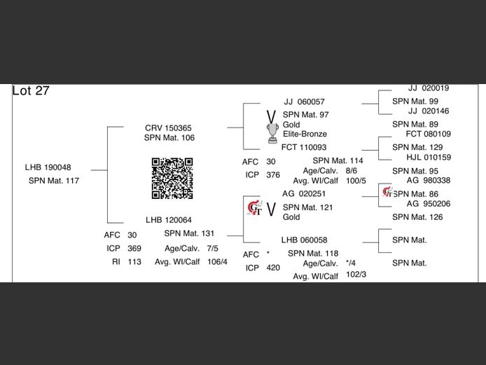 LHB 19 048