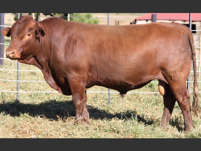 18-40GRB