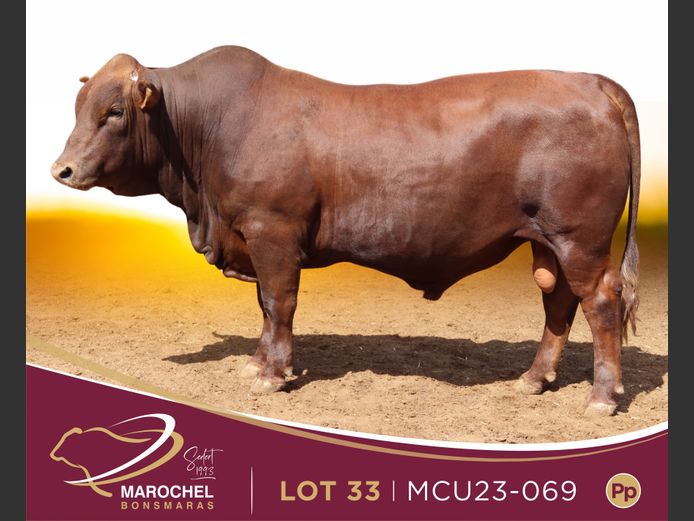 MCU 230069