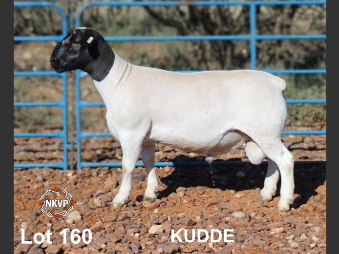 2052250073 | MNR. LOUIS VAN RENSBURG, H/A LEEUPUT TRUST