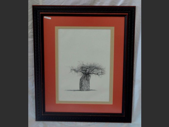 DARKWOOD FRAMED PRINT OF A BAOBAB, 50.5 x 35cm