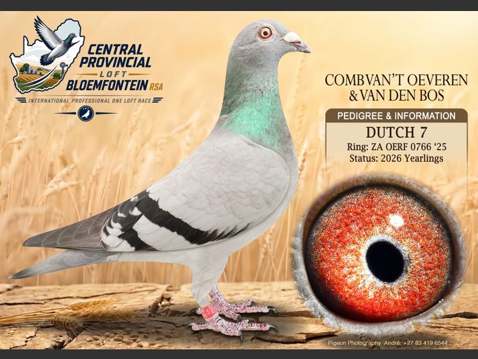 GRPF 0776 2025 | COMB VAN'T OEVEREN &
VAN DEN BOS
