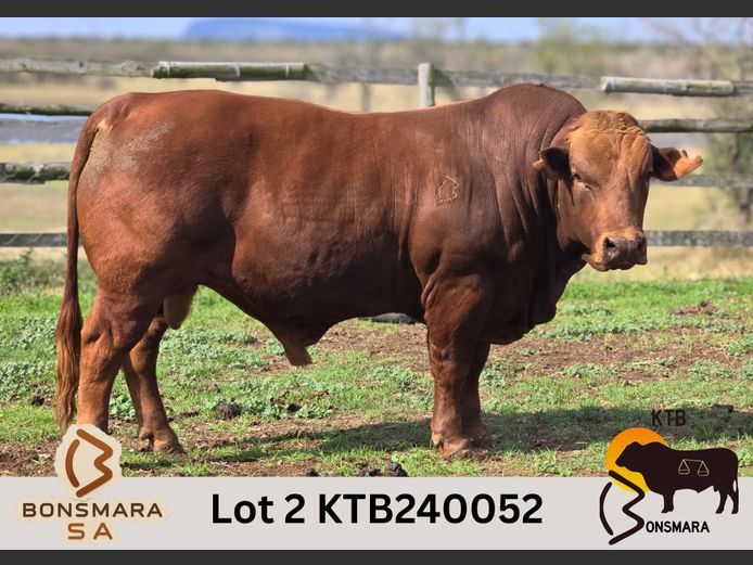 KTB240052 | BOTTERFONTEIN ESTATES CC