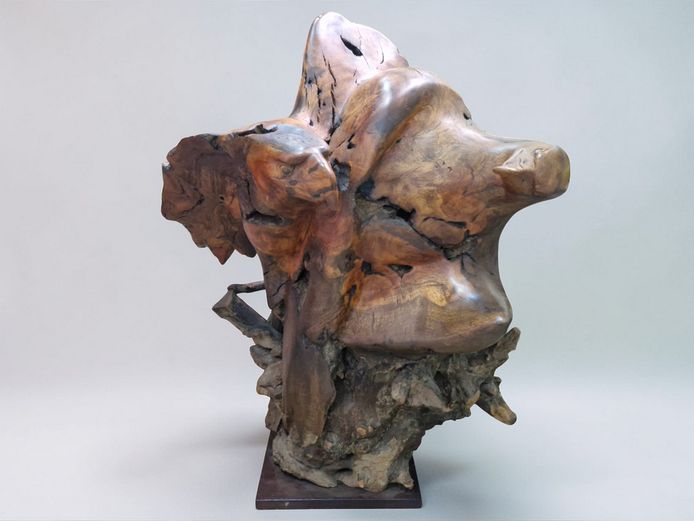 Jaco Sieberhagen Signed Driftwood Eagle Sculpture (Large)